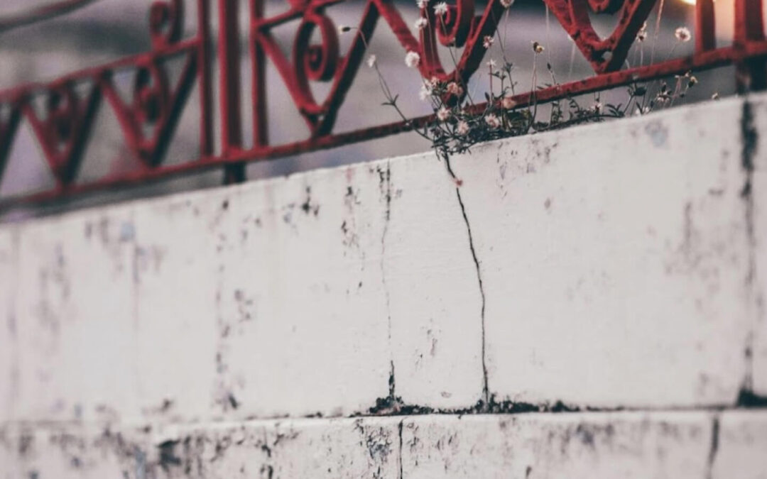 Prevent Cracks: Top Maintenance Tips for Concrete Surfaces